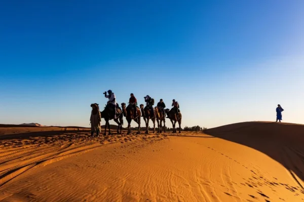 2-Day Erg El Mhazil Desert Bivouac from Foum Zguid