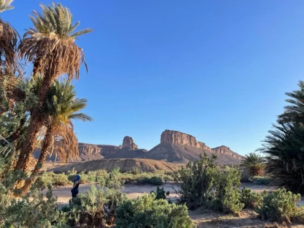 3-Day Nomadic Desert Experience from Foum Zguid