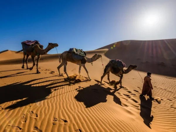 5-Day Sahara Desert Tour from Marrakech to Erg Chegaga
